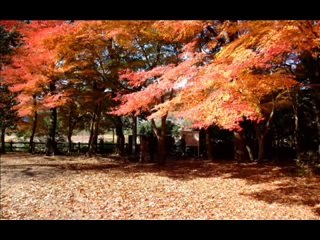 teri Tamanna Full Mp4 Hd Video Song  The Train- An Inspiration,  Teri Tamanna HD Video Song – The Train- An Inspiration