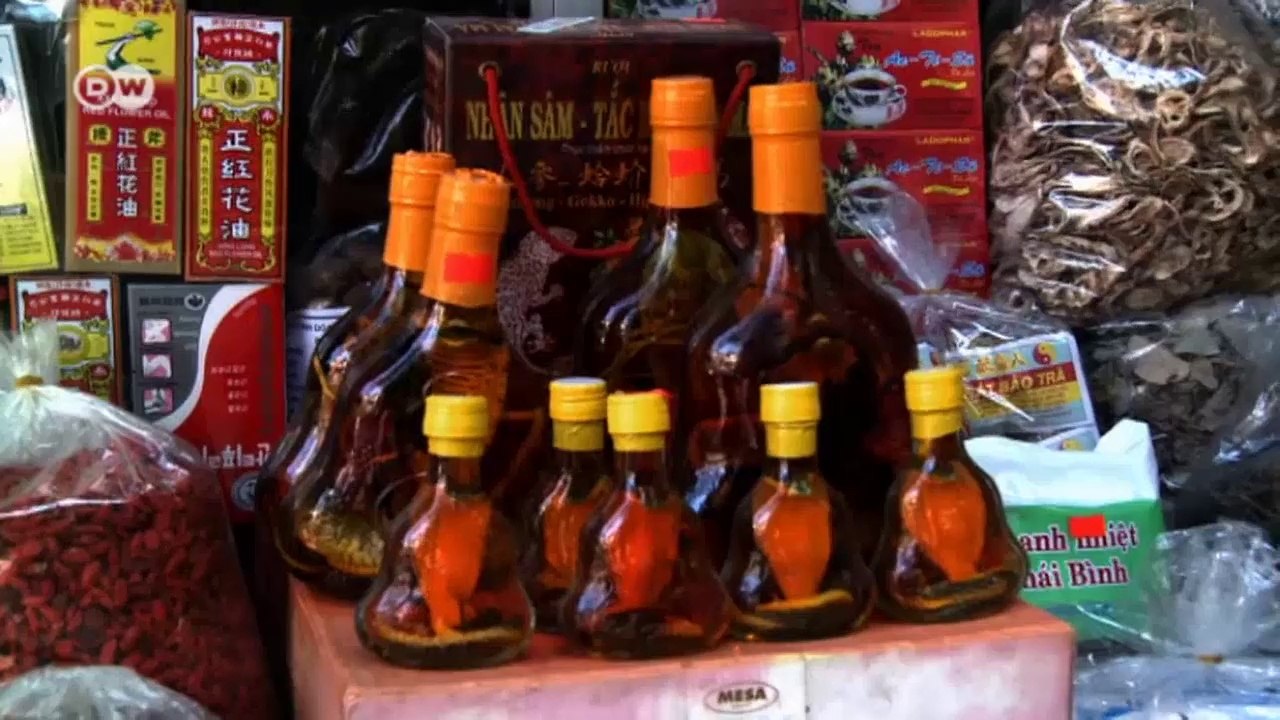 Cuando la caza y el consumo de especies raras s...
