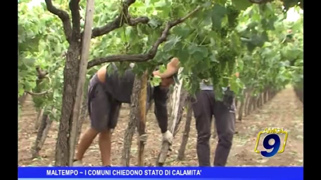 Maltempo | I comuni chiedono stato di calamità