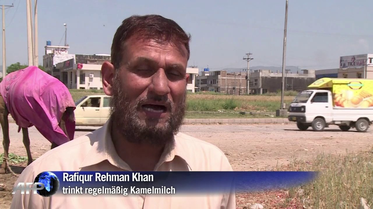 Kamelmilch als Heilmittel immer beliebter in Pakistan