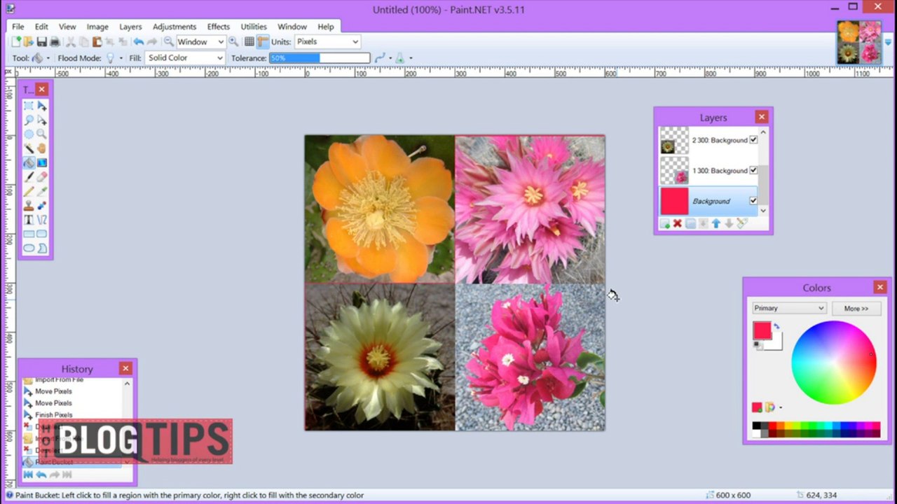 Making a Collage in Paint.net