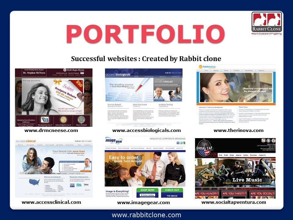 Website Replication and Duplication Leader: Rabbit Clone