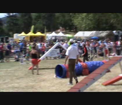 Baïla ANNONAY CDF 2014