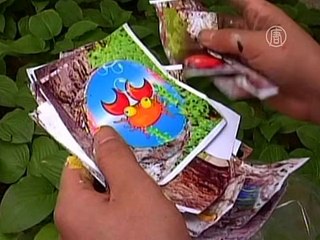 Картины в дуплах появились на улицах Бэйдайхэ