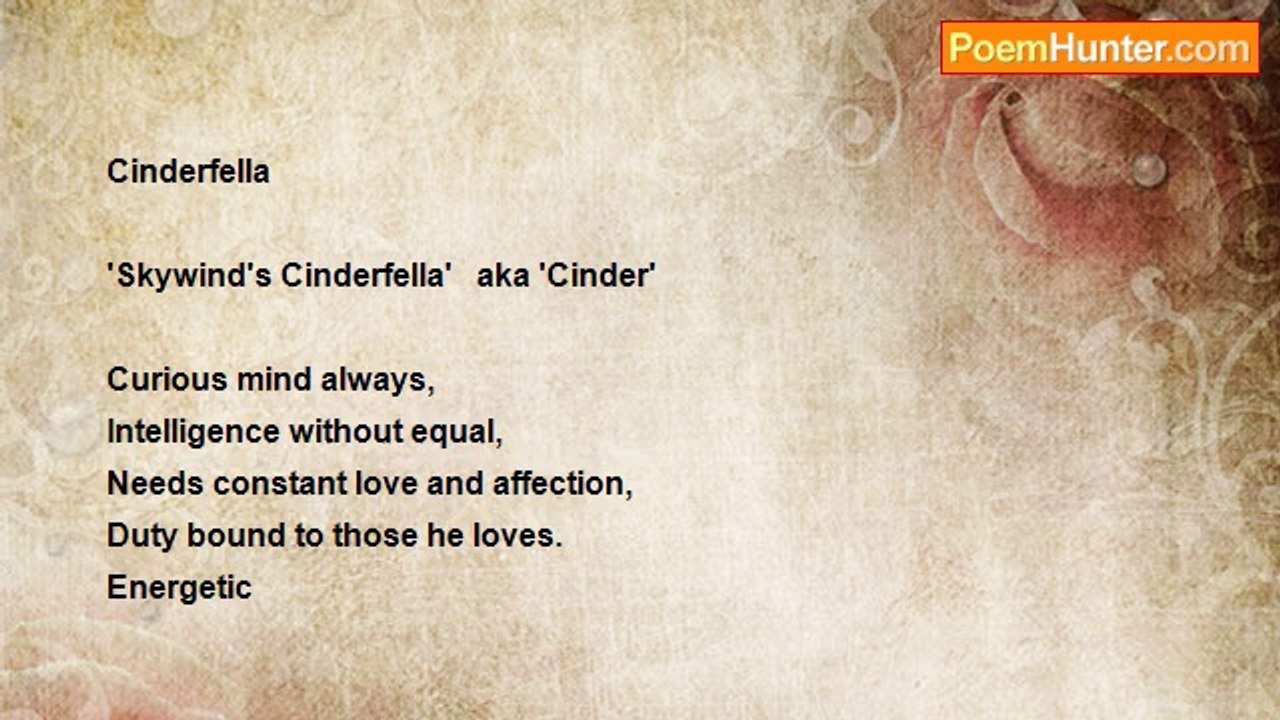 Artemis Quill - Cinderfella