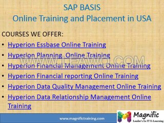 SAP BASIS Online Training and Placement in USA