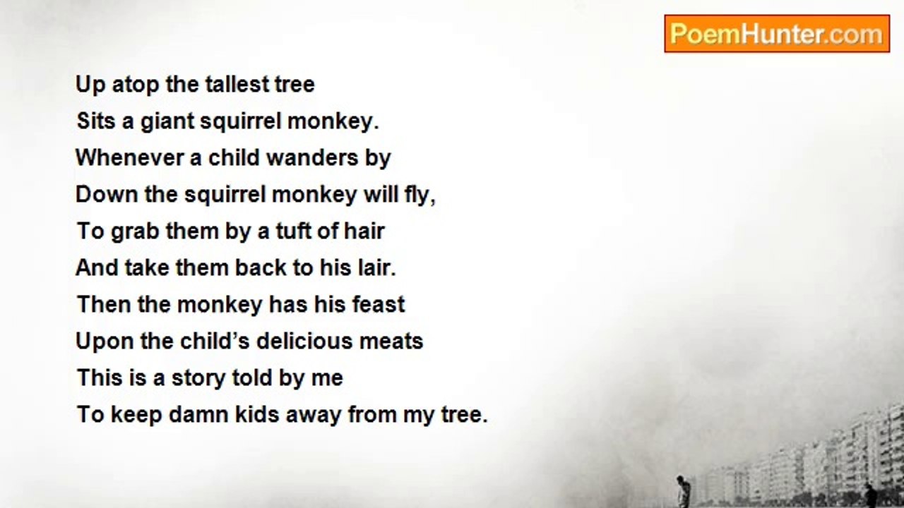 Ryan Glover - The Squirrel Monkey