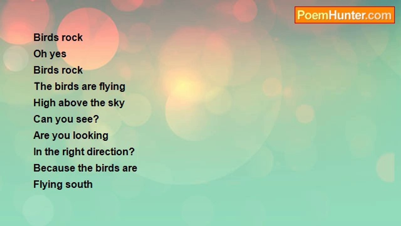 Aldo Kraas - BIRDS ROCK