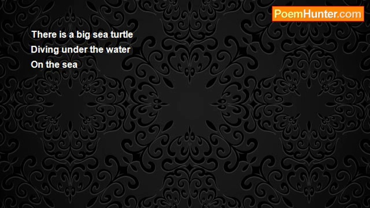 Aldo Kraas - BIG SEA TURTLE