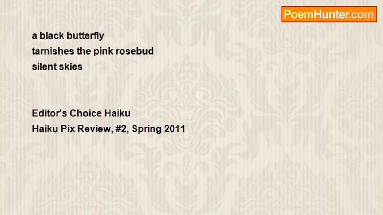 Chenou Liu - Black Butterfly Haiku