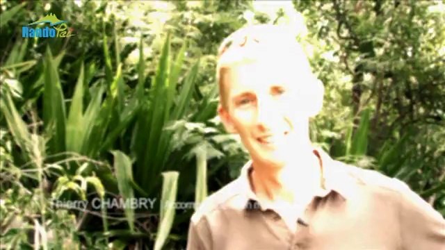 Rando Péï : Sentier de la Providence au Brûlé (Saint-Denis)