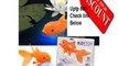 Discount Light-Up Color-Changing Koi Fish Toy Review