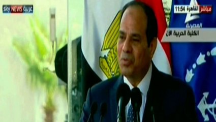السيسي يؤكد رفضه التدخل في أحكام القضاء المصري