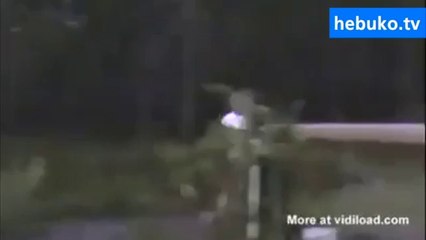 korkunun da bu kadarı :D - (doğadan korkan yeni nesilin hali)