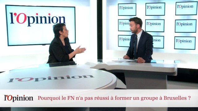Décryptage : Pourquoi le FN n'a pas réussi à former un groupe à Bruxelles ?