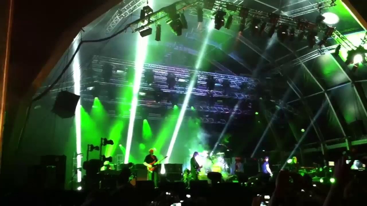 THE CURE - A Forest