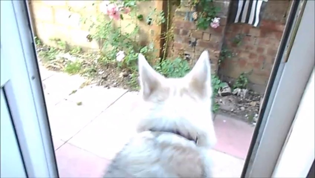 A day with Freya