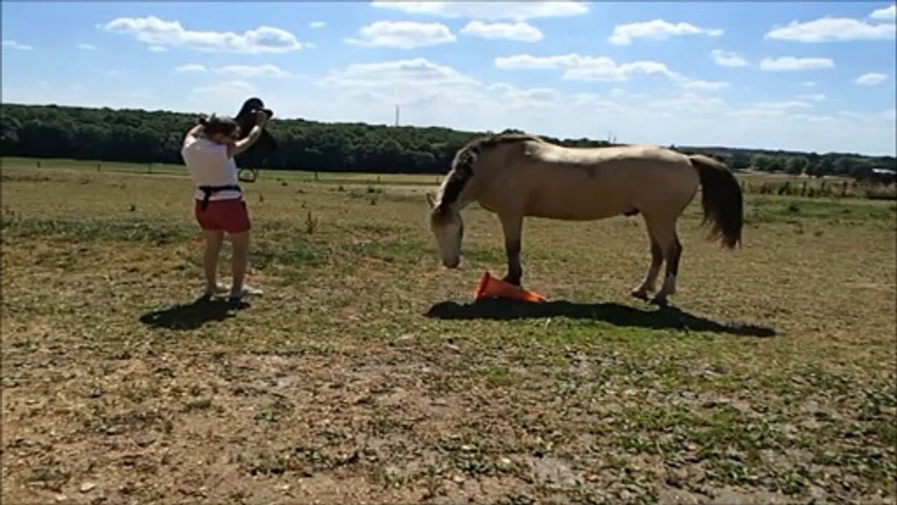 Tango enfile sa selle