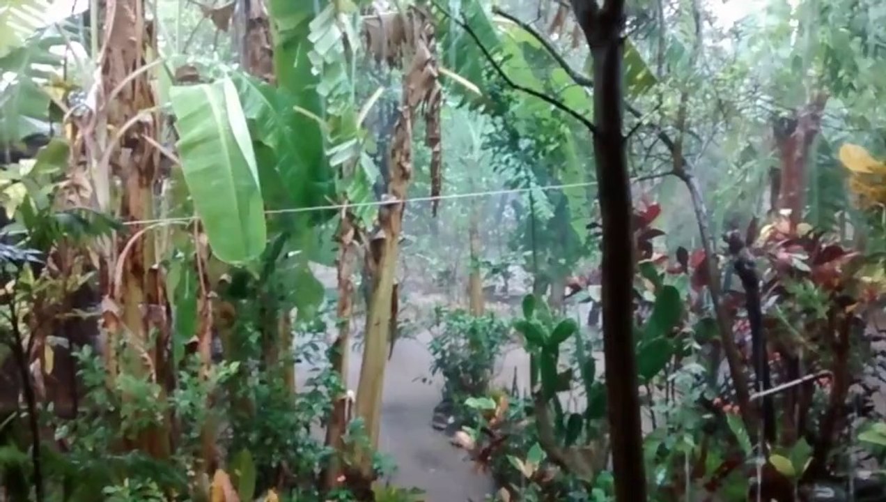 La Estrella, Jalisco. MEX