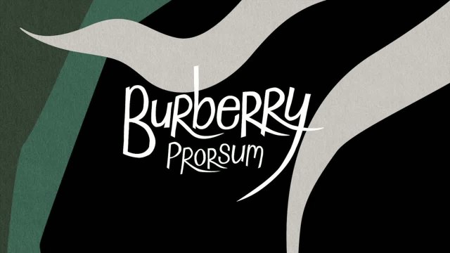 Défilé Burberry Prorsum Hommes Printemps-été 2015