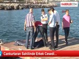 Cankurtaran Sahilinde Erkek Cesedi...