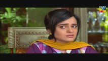Shab E Zindagi Episode 22 HUM TV Drama