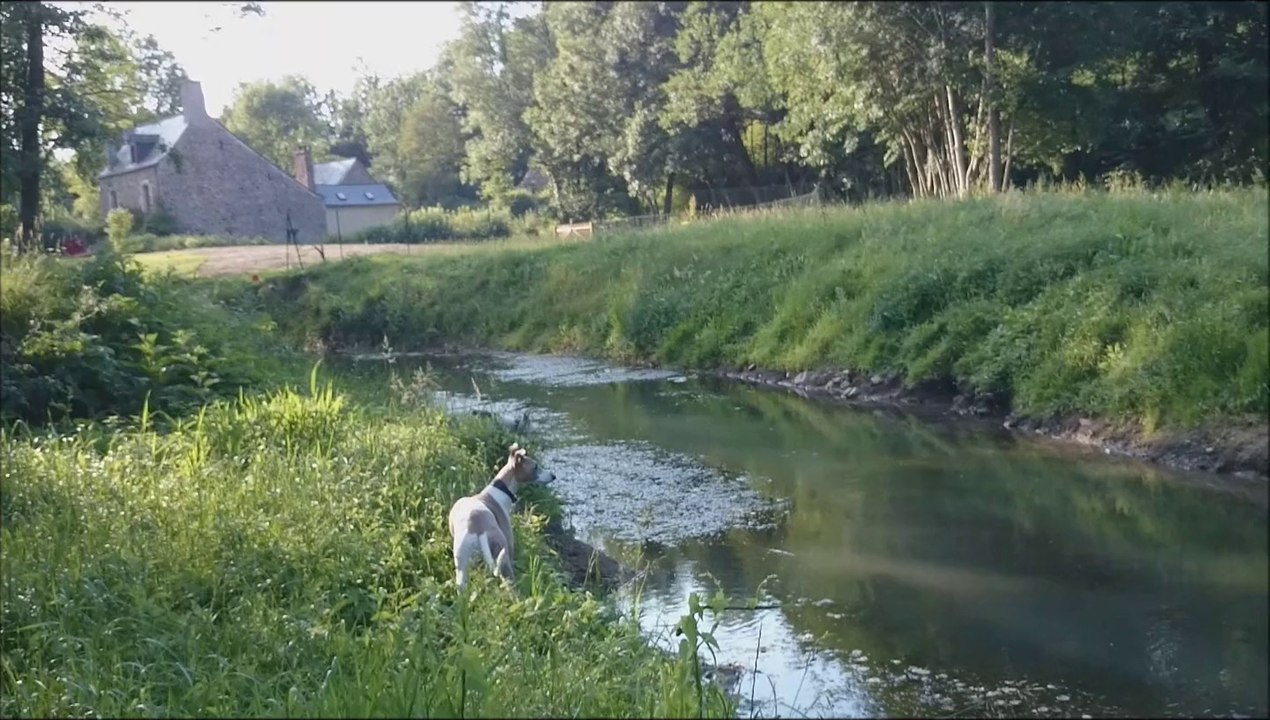 Hermine ses progrès, ses joies, mon bonheur !