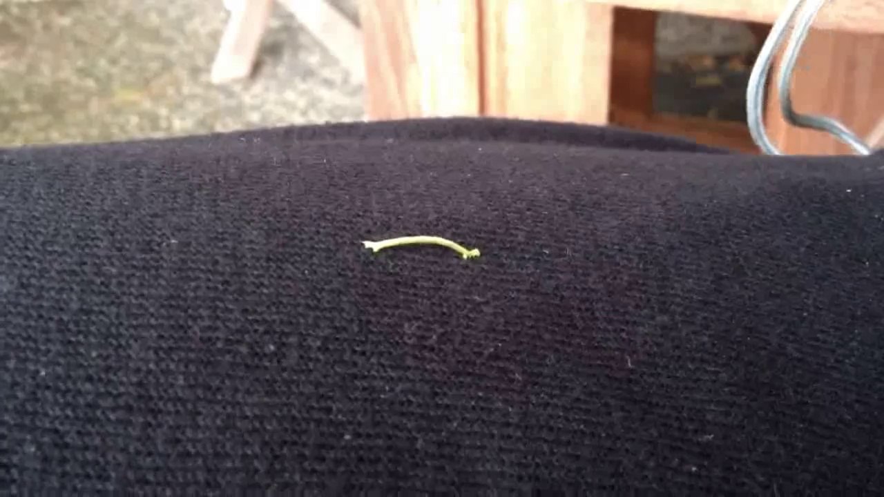 Rauperich raul rundlich