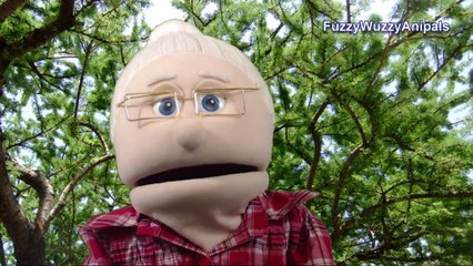 How Fast can an Ostrich Run Animal Fact