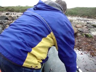 Trip by boat and dingy to The Great Saltee Island, from Kilmore Quay, Wexford.
