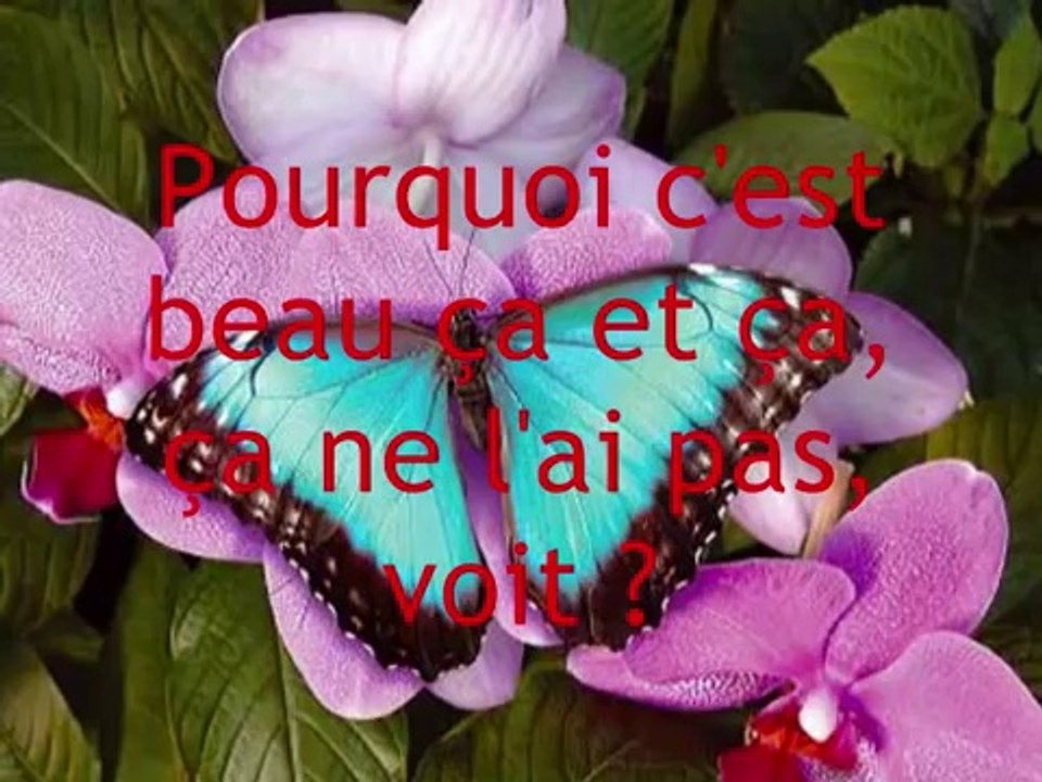 Christophe Maé - Pourquoi C'est Beau (Lyrics / Paroles)