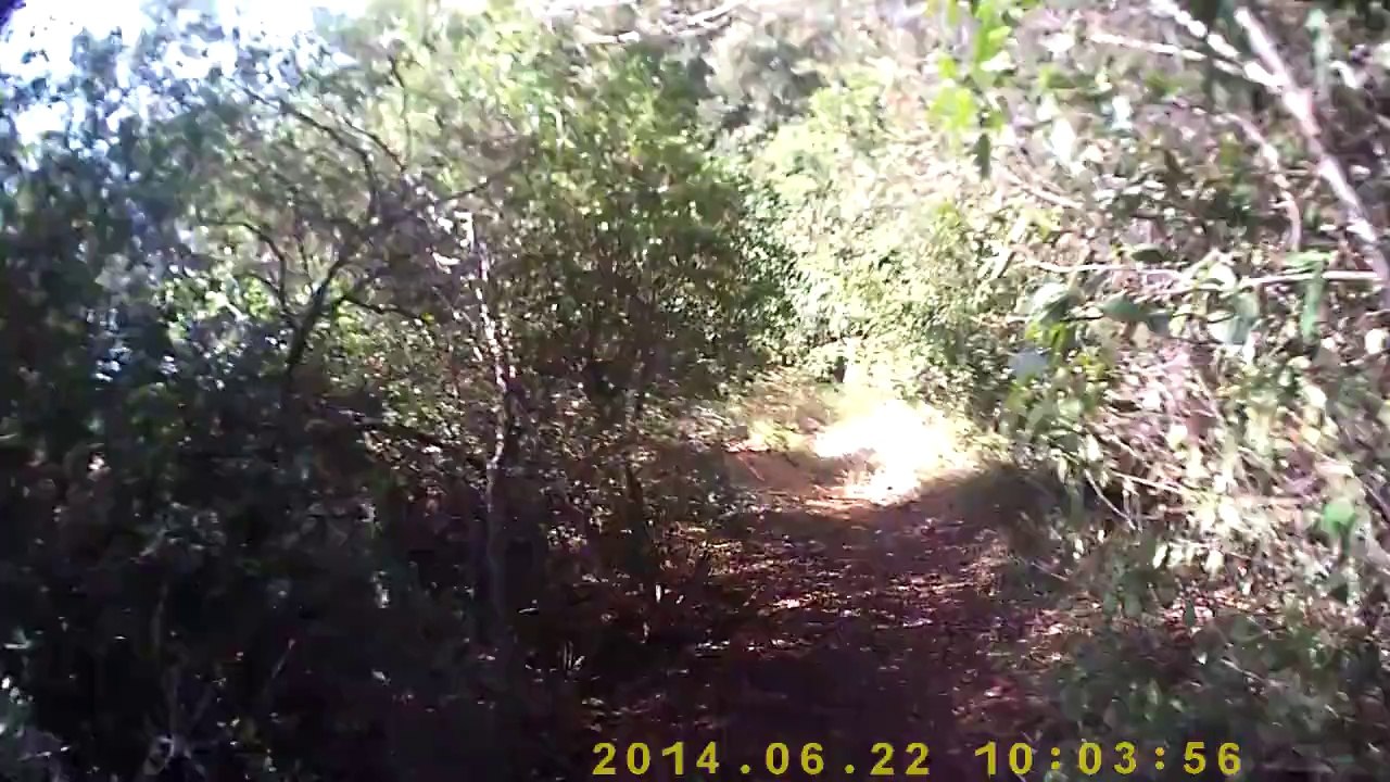 sortie quad et moto 22062014_1