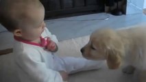 İlk kez tanışan bebek ve yavru köpek