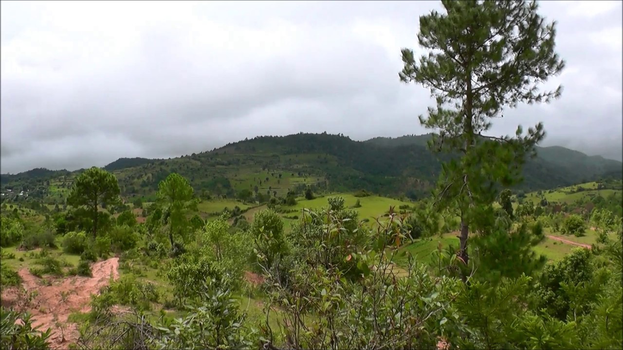 Aperçu du paysage pendant le trek