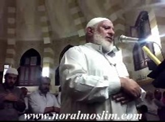 سورة الاحقاف الشيخ محمد السروى