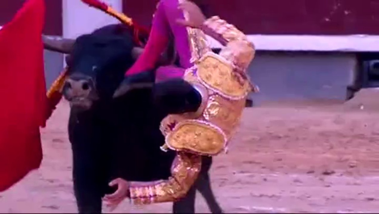 Juan Carlos Venegas cogido en San Isidro 14