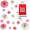 Best Price RoomMates RMK1013SCS Flower Power Peel and Stick Wall Decals Review