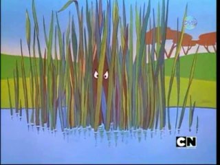 Coiote. Não Abandone As Ovelhas