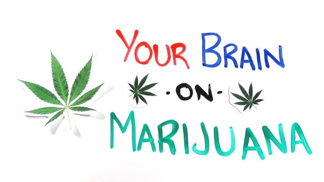 Your Brain on Drugs Marijuana
