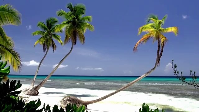 Luis Navas - Amazing Nature Scenery