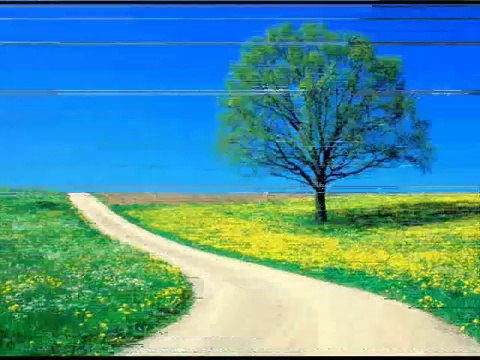 Luis Navas - Nature_ Beautiful Scenery