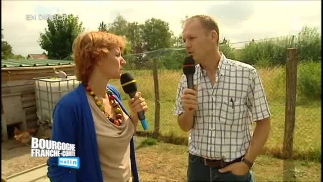 Direct Matin à Villers-les-Pots : Adopter des poules pour réduire ses déchets