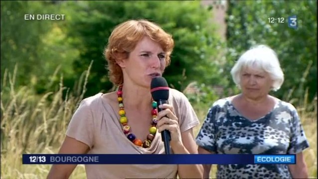 Direct Midi à Villers-les-Pots : Adopter des poules pour réduire ses déchets