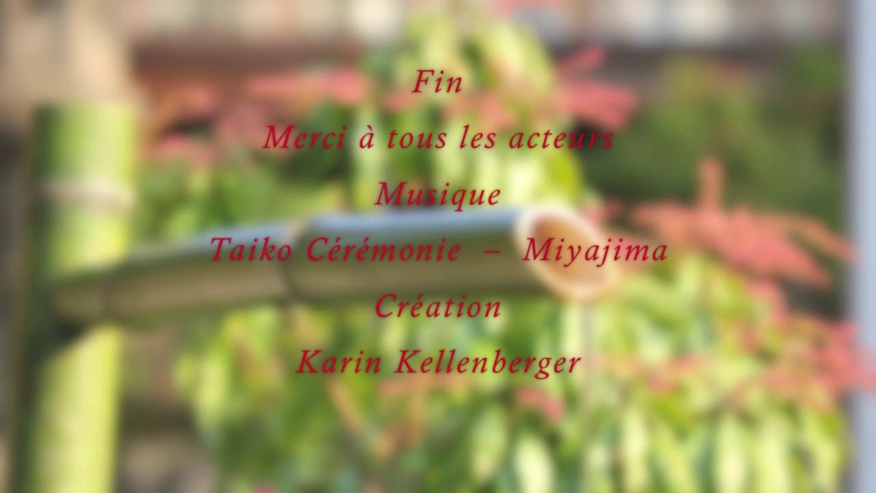 Les cahiers de l'Aikido avec Michel Erb Sensei Part 4 L'unité de corps