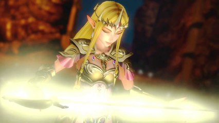 Hyrule Warriors - Zelda Rapier Version