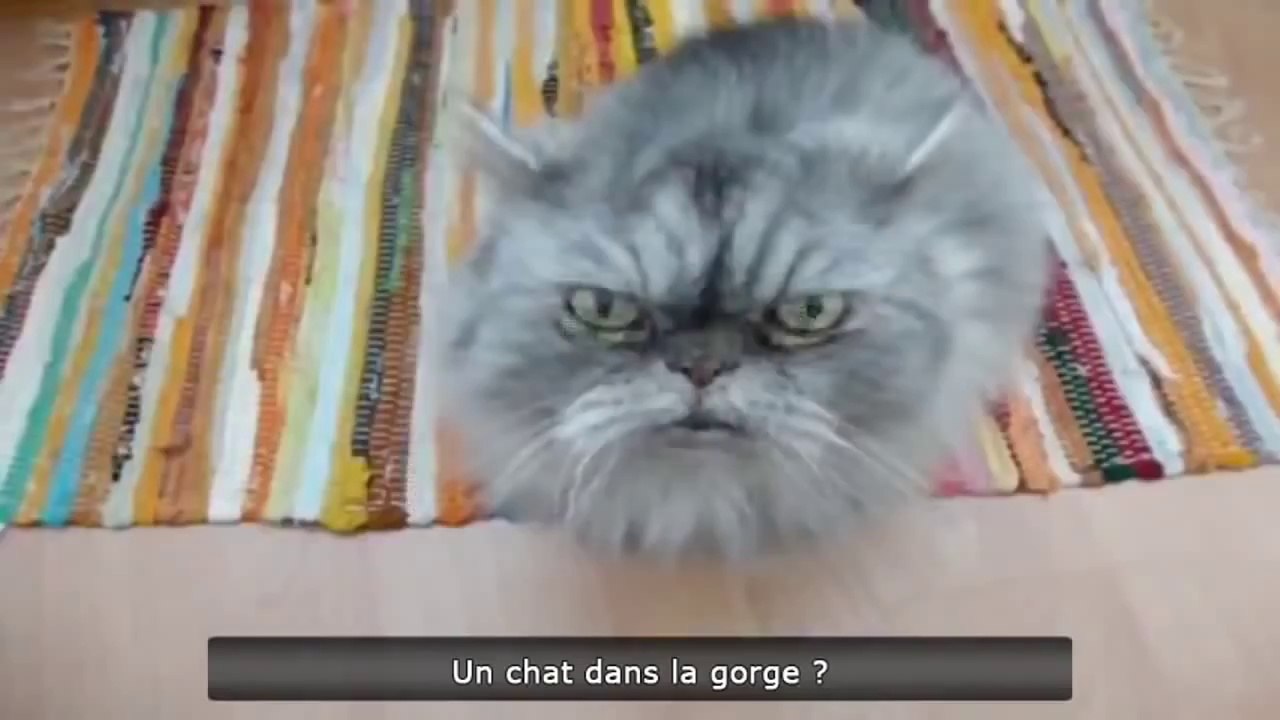 FUNNY VIDEOS FAIL COMPILATION 2013 THE VIDEO BEST OF HD