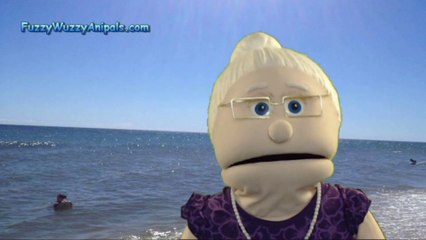 Great White Shark Swimming Animal Facts