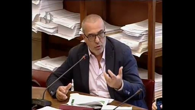 Roma - Agricoltura biologica, audizione INEA (24.06.14)