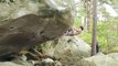 Jimmy Webb in Forest of Fontainebleau, France - Climbing