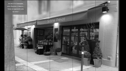 Fleuriste Valence - Sabine Prévot - 203 Avenue Victor Hugo - 26000